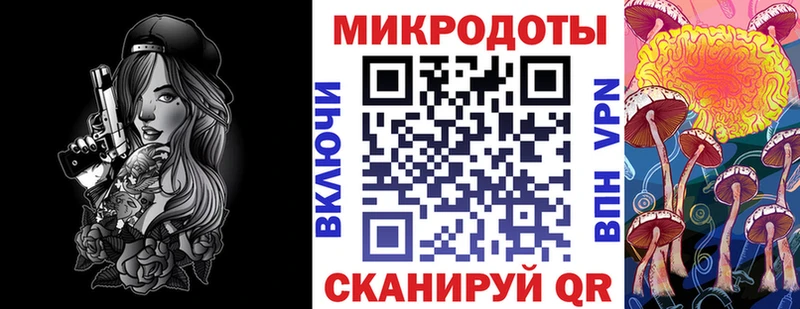 наркотики  Нижневартовск  Псилоцибиновые грибы Psilocybine cubensis 